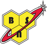 BSN Logo