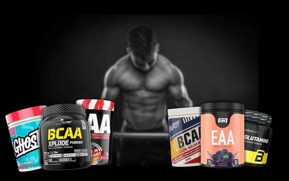 Amino-Supplements: Welche Rolle spielen Aminosäuren für Muskelaufbau und Regeneration?