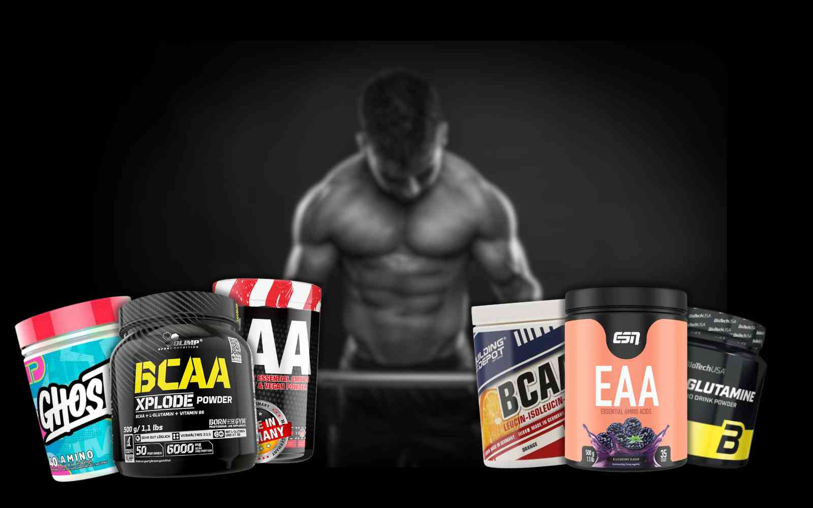 Amino-Supplements: Welche Rolle spielen Aminosäuren für Muskelaufbau und Regeneration?
