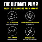 Animal Pump Pro Powder 440g