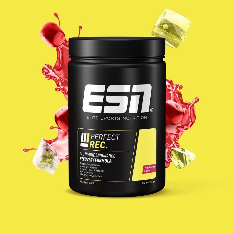 ESN Endurance Line Perfect Recovery Drink, 1320g