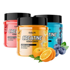 Evolite Creatine Monohydrate – Bild 1