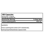 GN Laboratories Cissus Xplode
