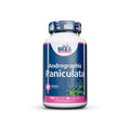 HAYA LABS Andrographis Paniculata 400mg 60 caps